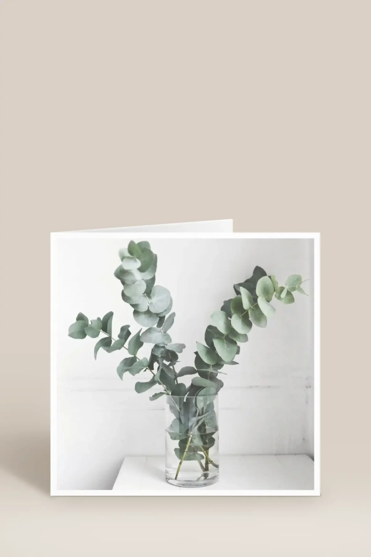 Eukalyptus i vas