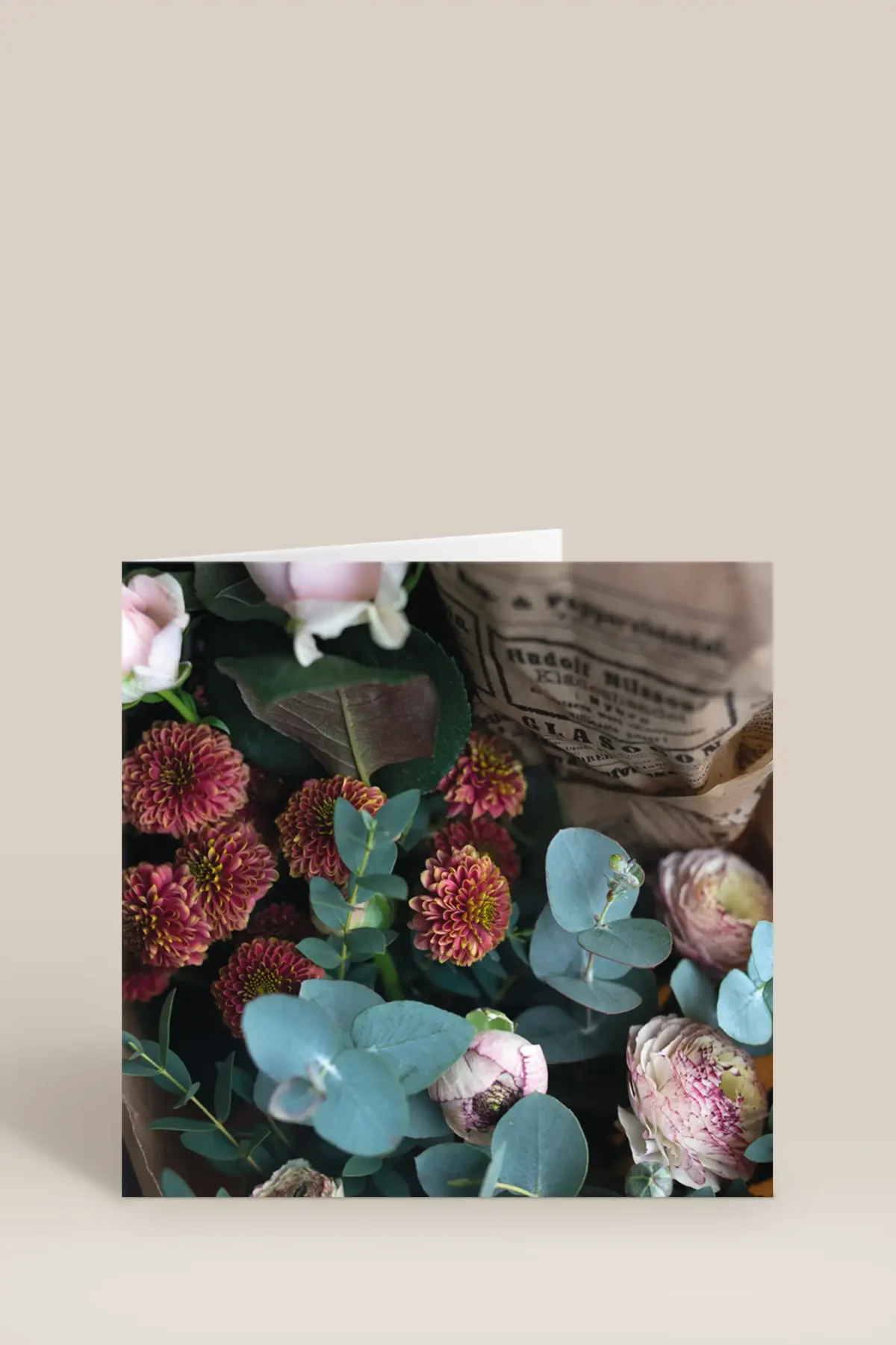 Blommor eukalyptus