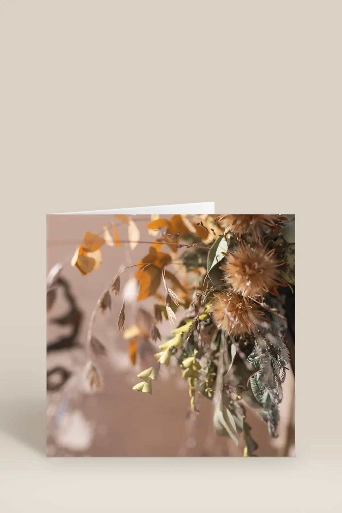 Torkade blommor