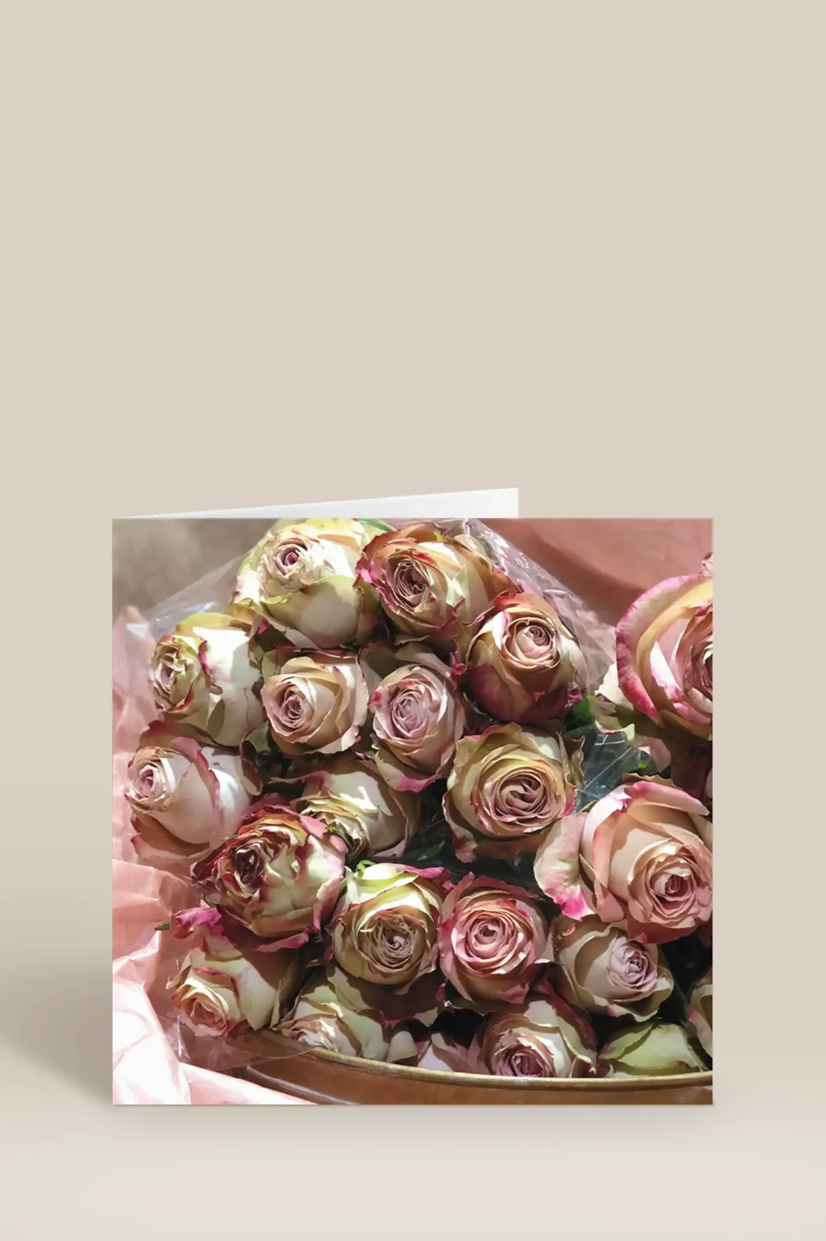 Rosa & gröna rosor