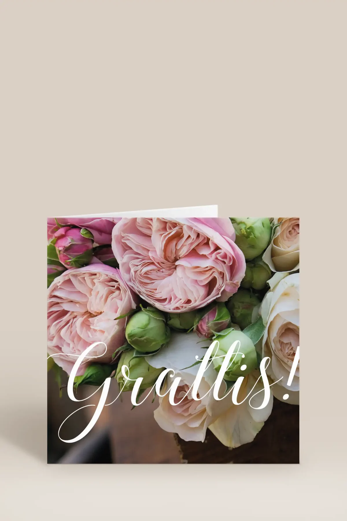 Grattis rosa blommor