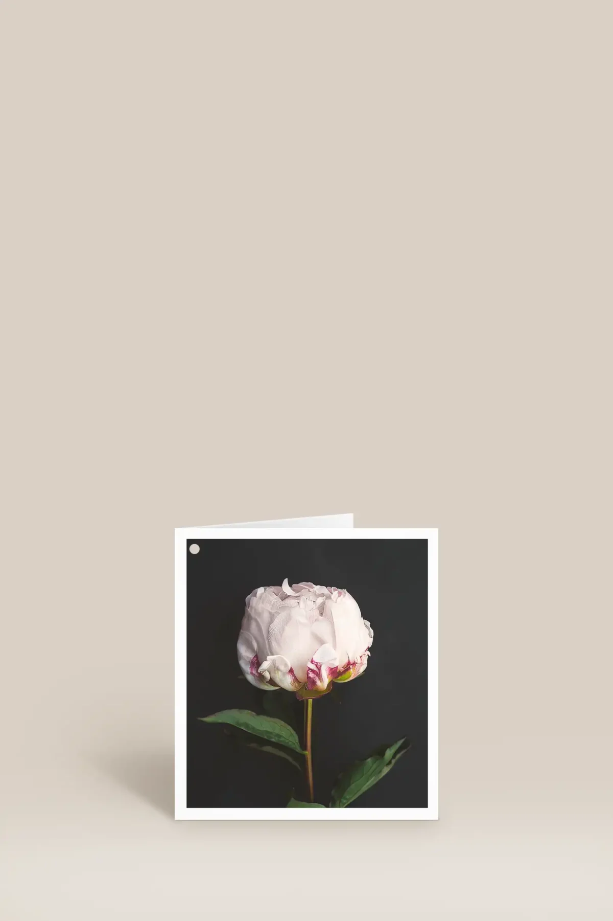 Elegant blomsterkort med pion