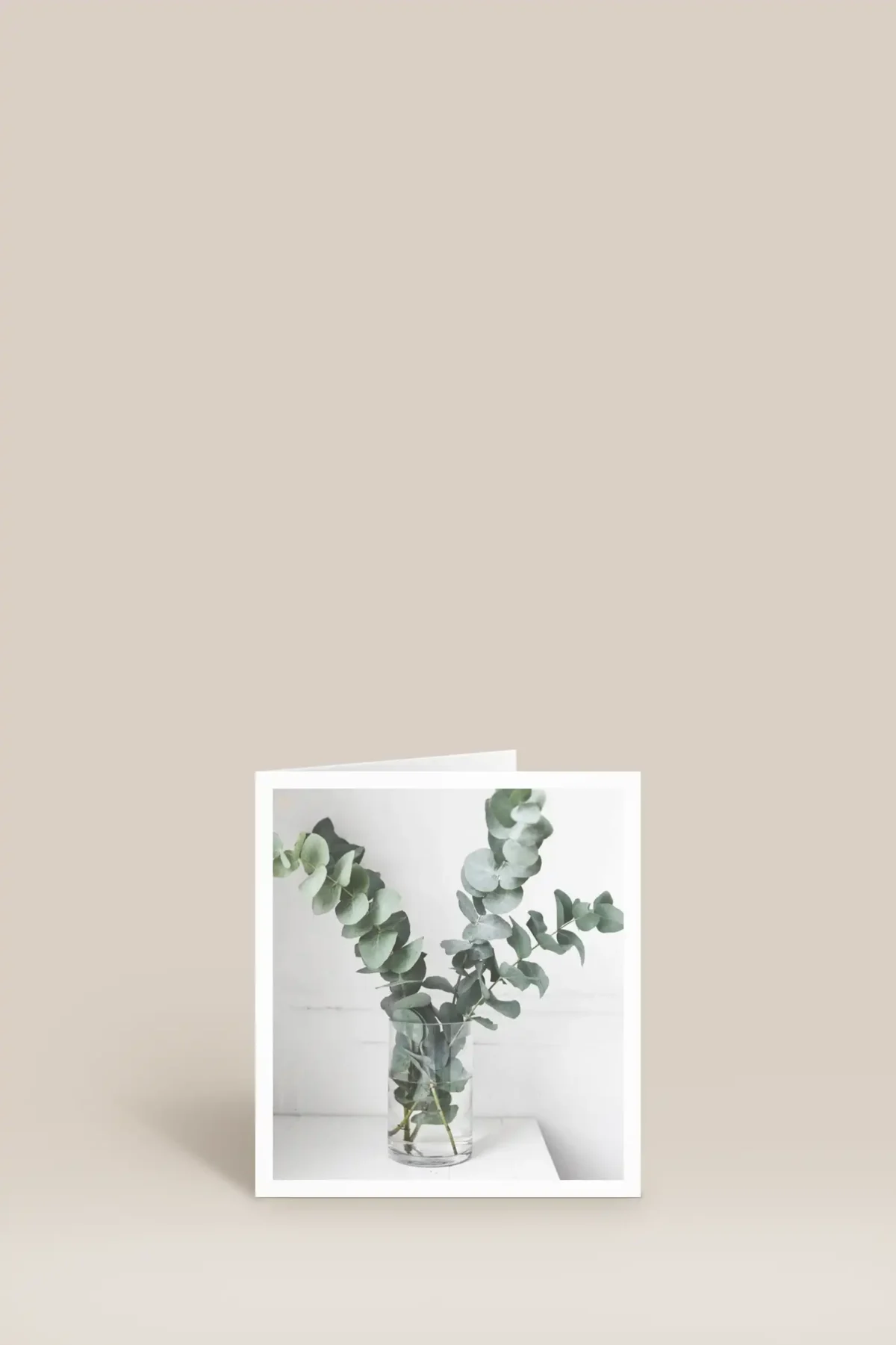 Eukalyptus i vas