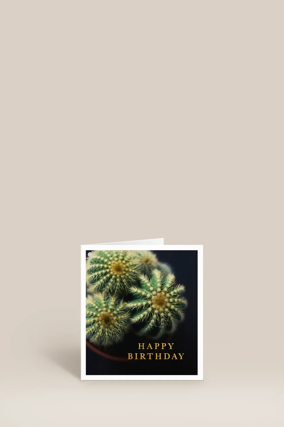 Happy birthday kaktus