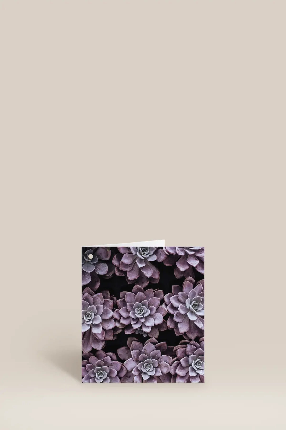 Lila blommor