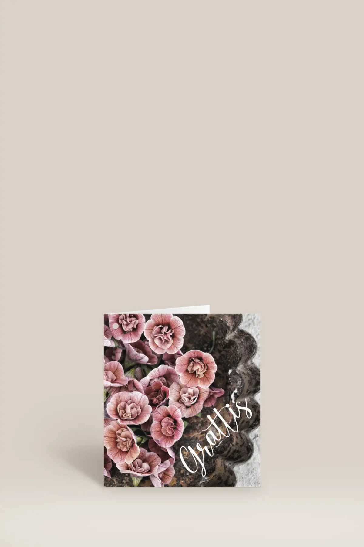 Grattis rosa blommor
