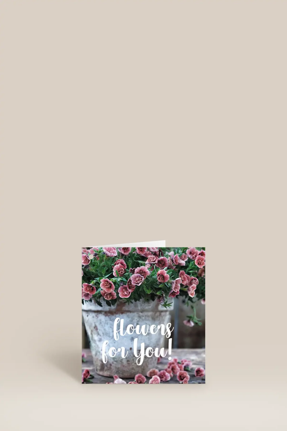 Flowers for you rosa blommor