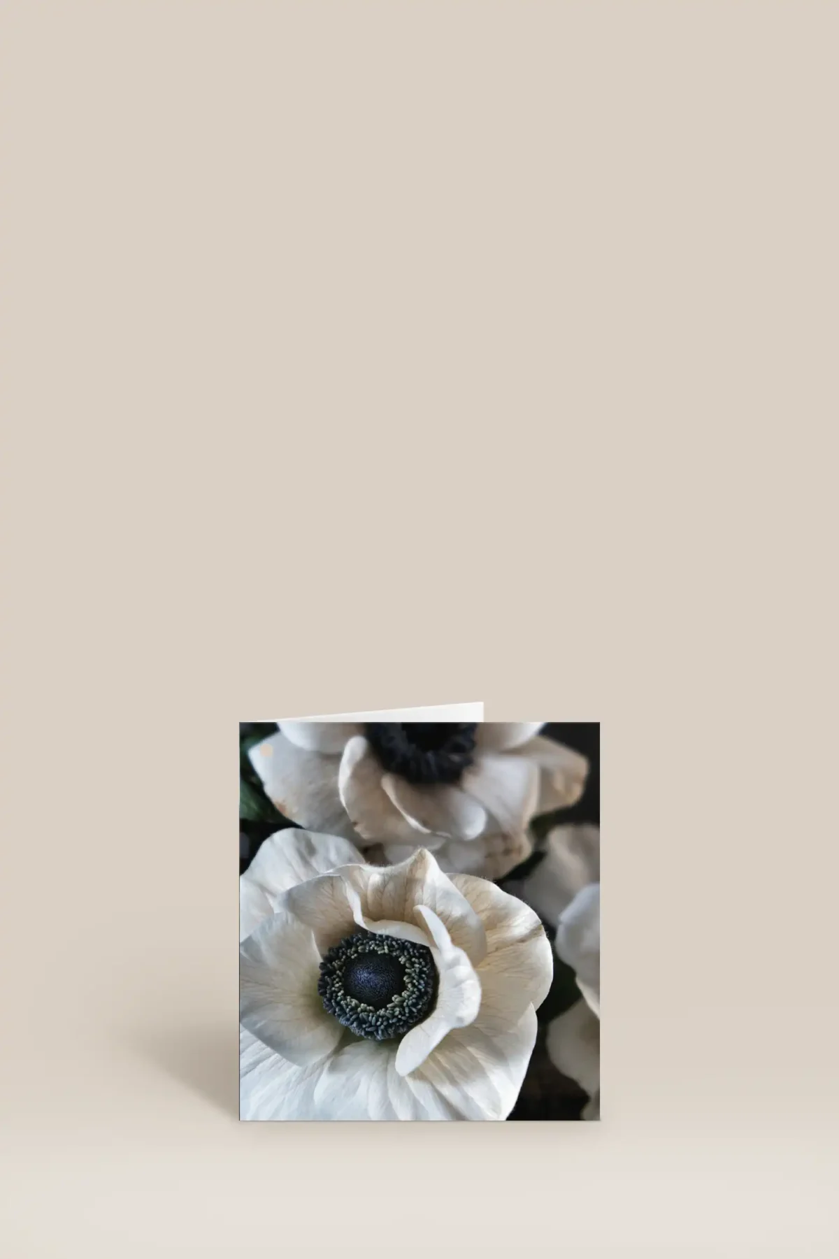 Vita blommor