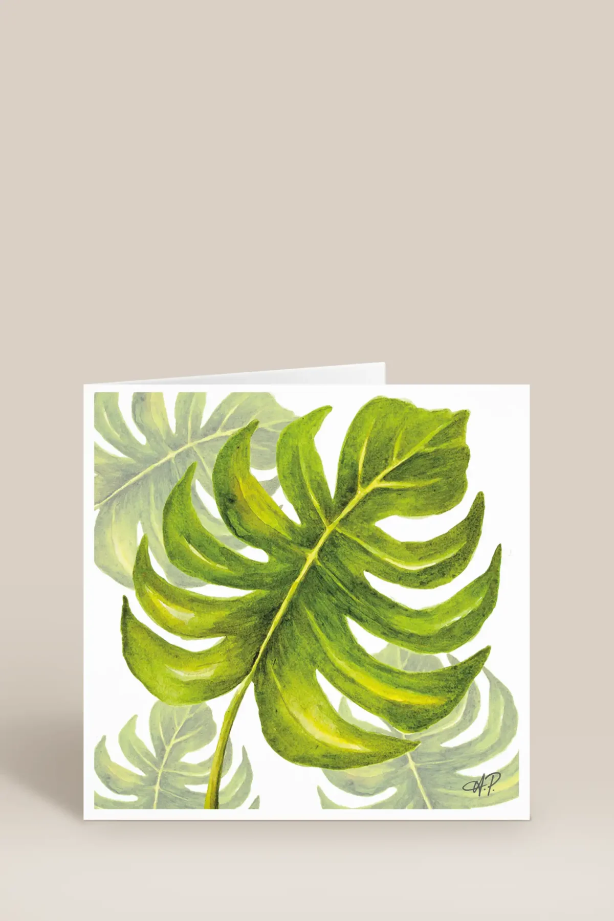 Monstera