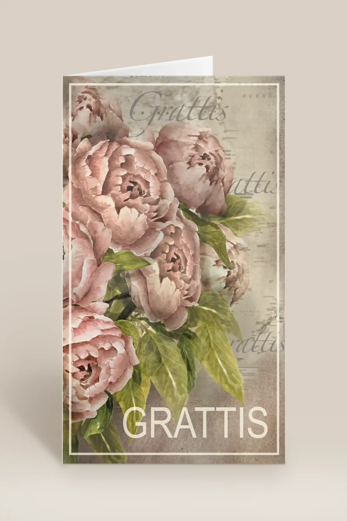 Grattis rosa rosor