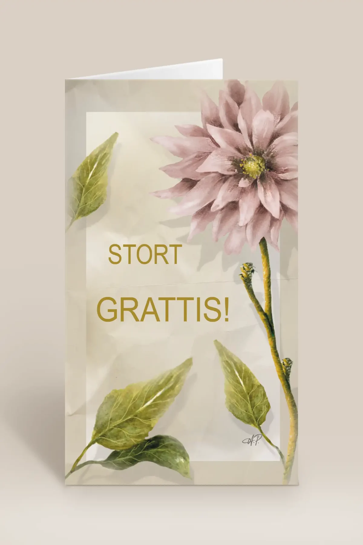 Stort grattis rosa blomma