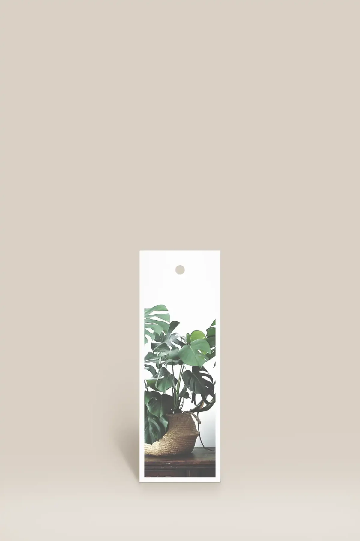 Monstera i flätad korg