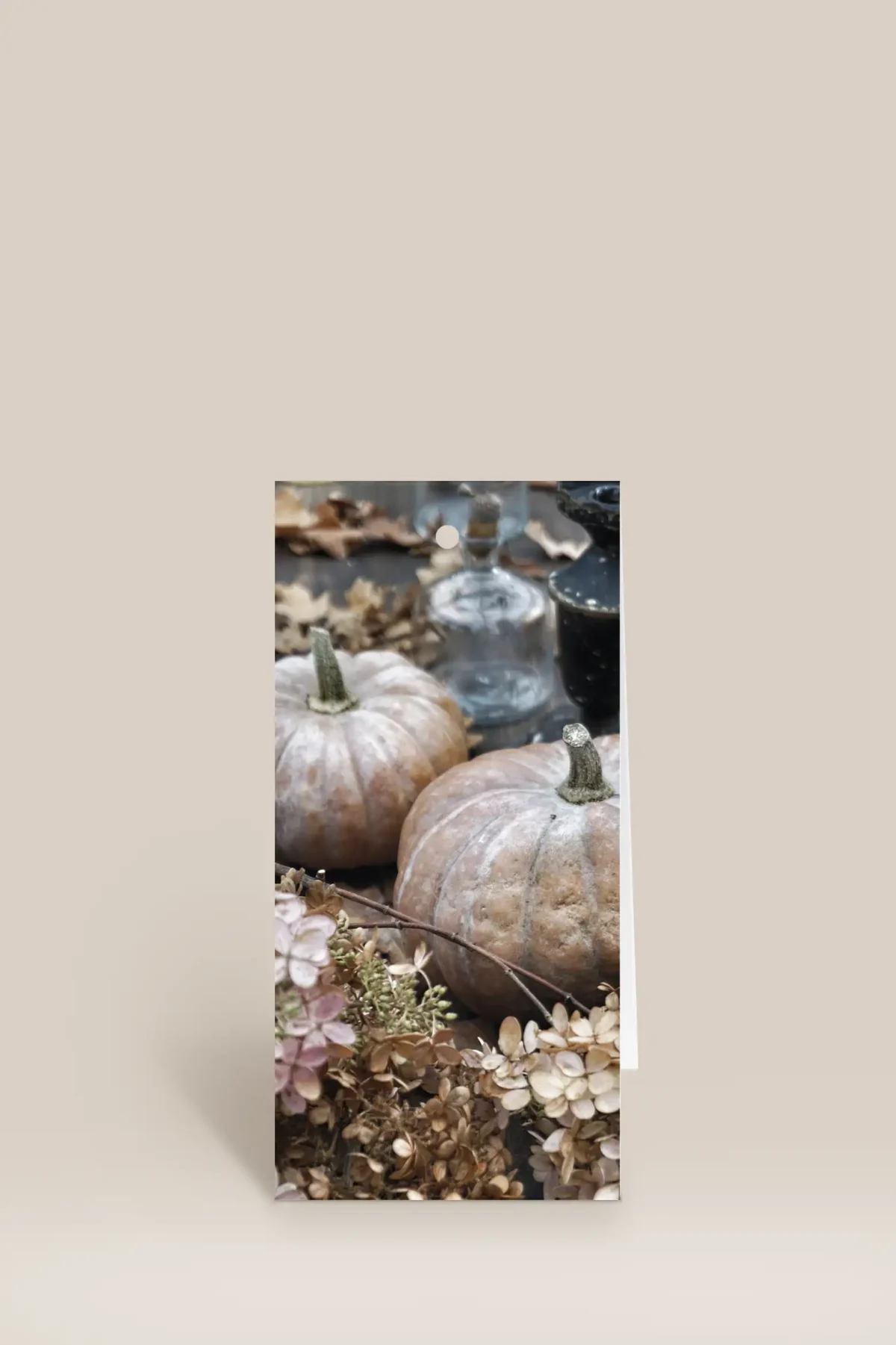 Pumpor & torkade blommor